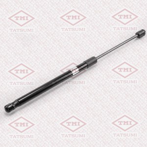 амортизатор багажника!\ HYUNDAI Santa Fe 00> TAF1025 TATSUMI