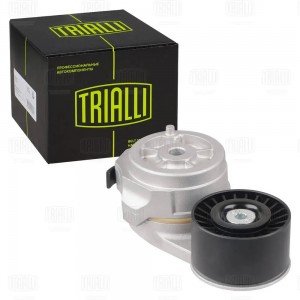 Ролик привод. ремня (с натяж. мех.) CM6043 TRIALLI