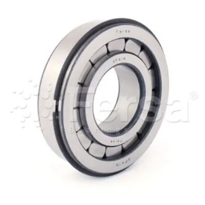 Подшипник редуктора 45x100x31 F19081 FERSA