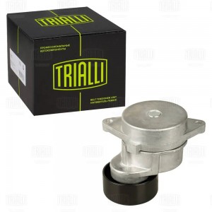 Ролик привод. ремня Infiniti QX80 (10-)/Nissan Patrol (10-) 5.6i [VK56VD] (с нат CM 5481 TRIALLI