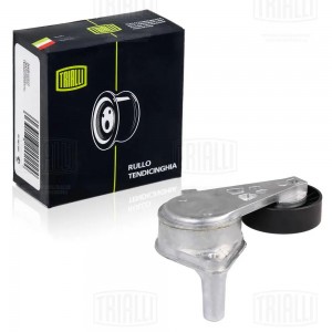 Ролик привод. ремня с натяж. мех. Hyundai Satna Fe (01-) 2.7 (CM 5180) CM 5180 TRIALLI