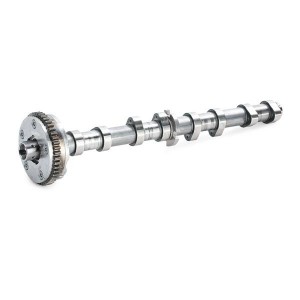 распредвал выпускной!\Audi A3, VW Passat, Skoda Octavia 1.8TSI BYT, BZB 06> B18979 BORSEHUNG