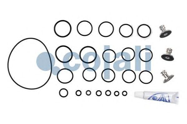 Р/к клапана пневмосистемы 6014040 COJALI