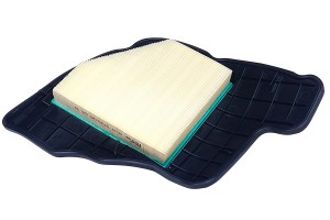 Фильтр воздушный BMW 5 (F07,F10),6 (F06,F12),7 (F01,F02),X5 (E70),X6 (E71) (09-) AF178 RAF FILTER