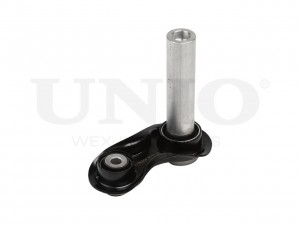 Рычаг подвески поперечный задний нижний SSP-40124 UNIO