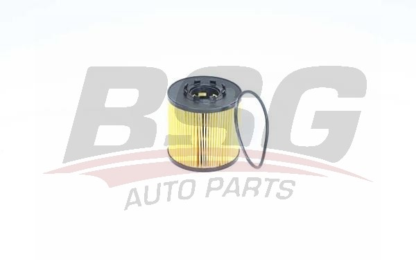Фильтр масляный RENAULT Laguna (02-) (2.2 DCI) BSG BSG75-140-002 BSG