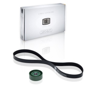 Ремкомплект НО ремень + ролик ВАЗ 1118 Калина с кондиционером GD618 GD 618 TRIALLI