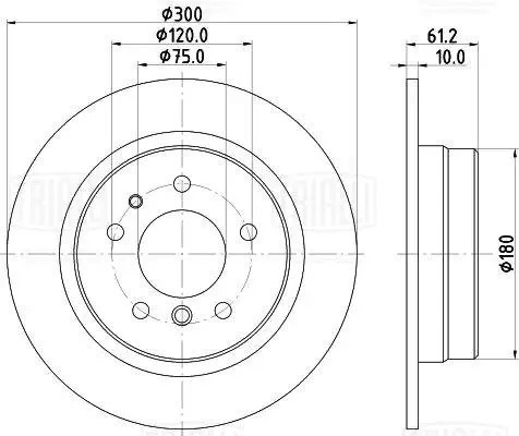 Диск торм. BMW 5 (E34) (87-) зад. d=300 (DF 270207) DF 270207 TRIALLI