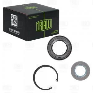 Ремкомплект ступицы задней (подшипник 1 шт, стопорное кольцо 1 шт, гайка) CS 2090 TRIALLI