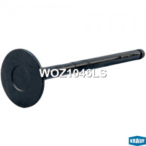 Клапан выпускной WOZ1046LS WOZ1046LS KRAUF