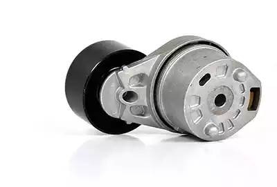 Ролик приводного ремня FORD Transit (00-06) натяжителя в сборе BSG BSG30615011 BSG