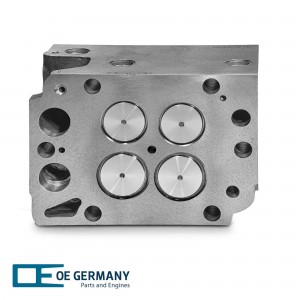 Головка блока цилиндров [R6 D128 c клапанами] 020129287601 OE GERMANY