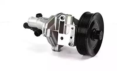 Насос водяной FORD Transit (00-06) BSG BSG30500019 BSG