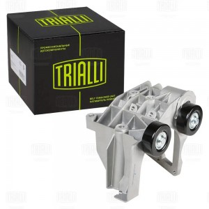 Ролик приводного ремня с натяжным механизмом CM 5274 TRIALLI