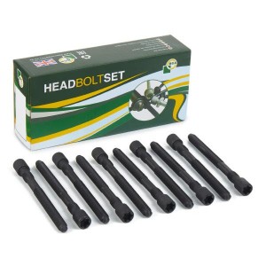 комплект болтов ГБЦ! 10шт.\ Audi A3/A6, VW Golf 1.8/1.8T 20V 97> BK4308 BG AUTOMOTIVE