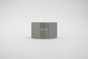 Ролик ГРМ опорный Hyundai Santa FE II (CM), Highway, Kia Magentis (GD) 2.7-3.5 ( GT10101 GMB