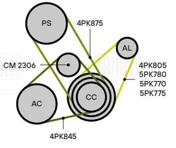 Ролик приводного ремня натяжной CM 2306 TRIALLI