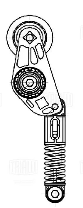 Ролик приводного ремня с натяжным механизмом CM5718 TRIALLI