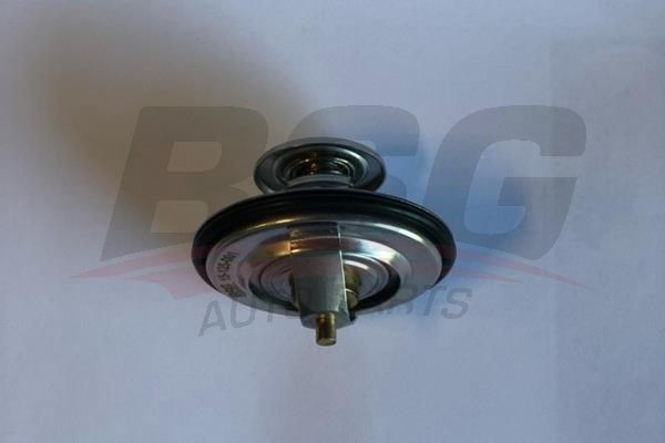 Термостат BMW 5 (E60),X5 (E53) BSG BSG15125001 BSG