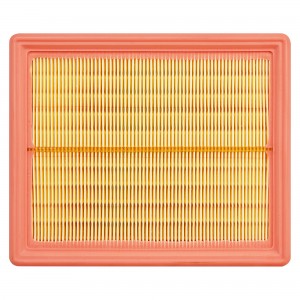 HAVAL F7 (2019>) TR55747 CARVILLE RACING