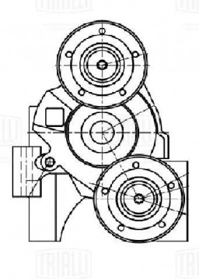 Ролик привод. ремня Ford Transit (06-)/Ranger (06-) 2.2d/3.2d (с натяж. мех.) дв CM 5623N TRIALLI