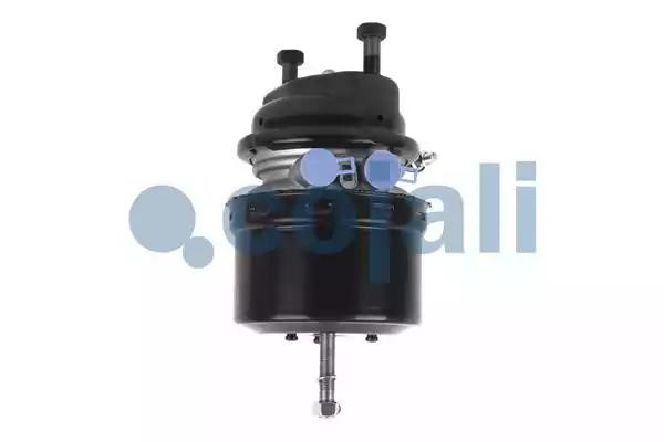 Энергоаккумулятор MERCEDES тип 16/24 (дисковый тормоз) COJALI 2251516 COJALI