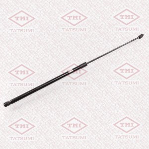 A6 [C6,4F] (2005-2011) TAF1105 TATSUMI