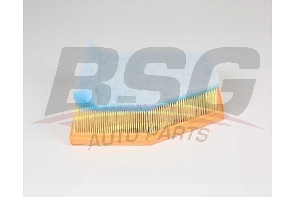 Фильтр воздушный BMW 5 (G30) BSG BSG15135023 BSG