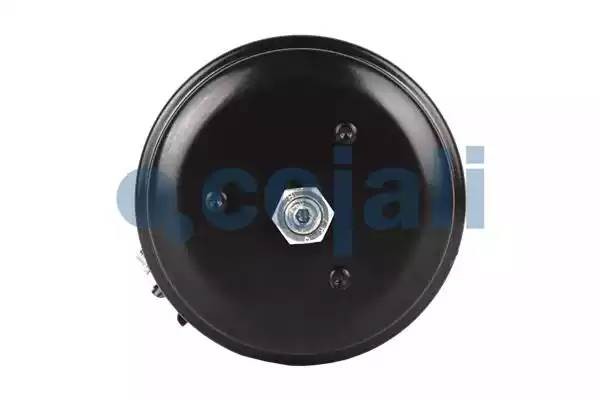 Энергоаккумулятор (дисковый тормоз) прав. TYPE 24/24 2251513 COJALI