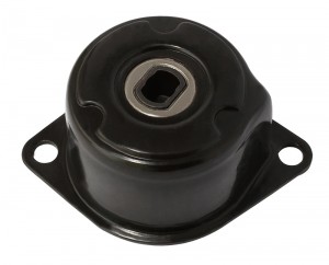 Натяжитель ремня приводного VW T4 2.0-2.5 90-03 (INA 534017210) AG00020 AG00020 MILES