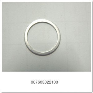 Кольцо уплотнительное SSANGYONG Actyon (06-),Kyron (05-),Rexton (02-) натяжителя 007603022100 SSANG YONG