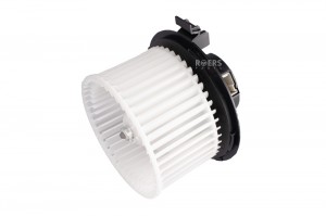 Мотор отопителя салона RP29MH003 ROERS PARTS