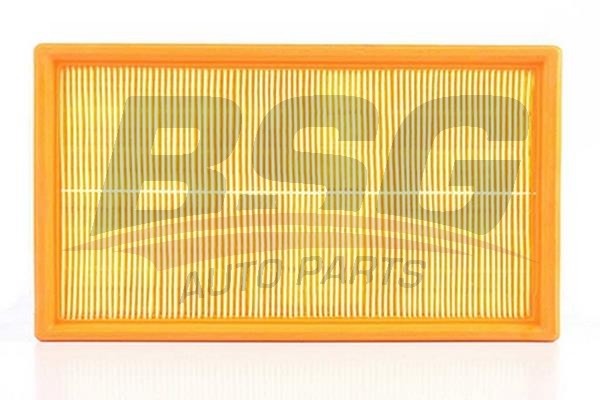 Фильтр воздушный VW Golf 4,5 (00-05) SKODA Octavia (04-),Fabia (00-) (1.4) BSG BSG90135007 BSG