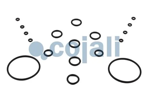 РМК модулятора EBS 6014113 COJALI