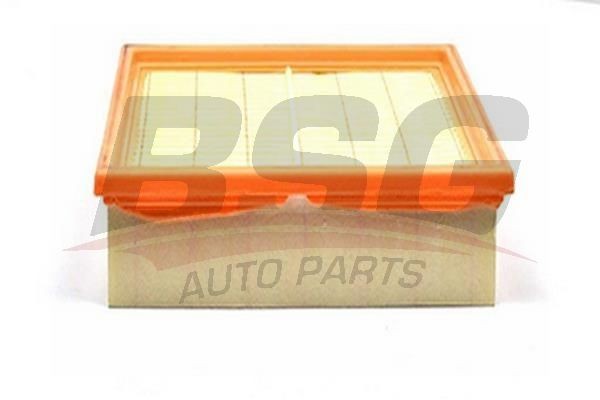 Фильтр воздушный FORD Transit (85-00) (2.5) BSG BSG30135003 BSG