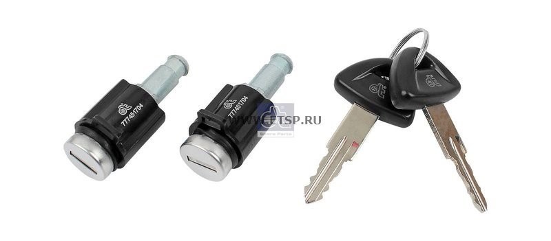 Личинка SCANIA 4 series замка двери с ключами (2шт.) DT 1.31921 DIESEL TECHNIC