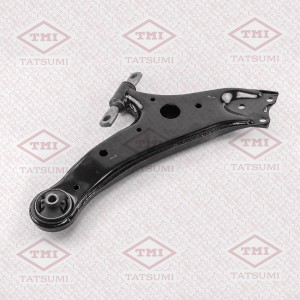 RX 350/450H (2009>) TEE1763L TATSUMI