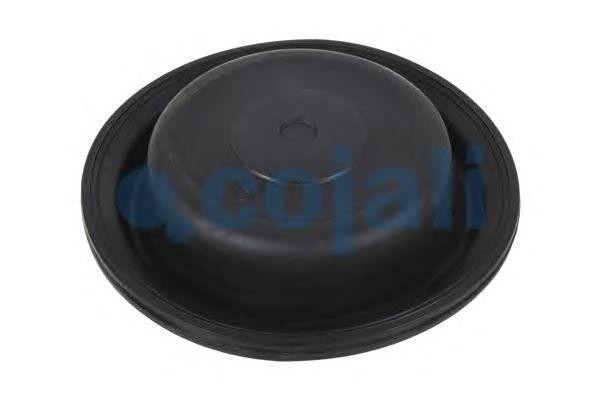 Диафрагма энергоаккумулятора T20 6001114 COJALI
