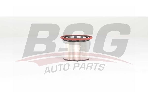 Фильтр топливный VW Golf,Passat (13-),Touran (16-) AUDI A3 (13-) SKODA BSG BSG90130036 BSG