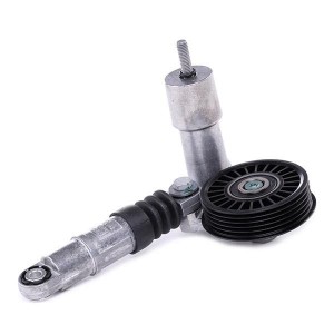 Натяжитель ремня VW PASSAT (3B2) 1.9TDI 534001410 534 0014 10 INA