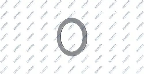 шайба трансмиссии! КПП сателита планетарной передачи T2.30 ZF 16S181/16S221/16S K2001515 KACMAZLAR