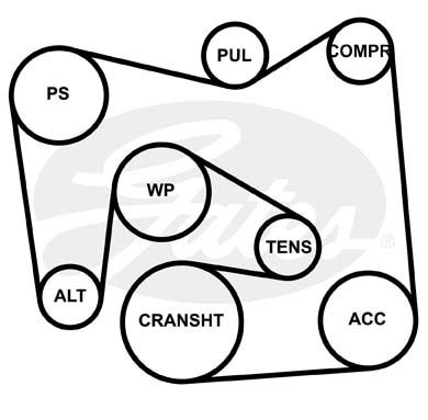 Поликлиновой ремень 7PK2418 (8653-10491) 7-PK-2418 GATES