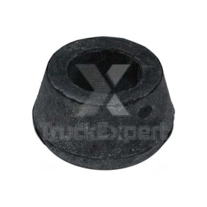 VOLVO TRUCK F10/12/16 40011001 TRUCKEXPERT