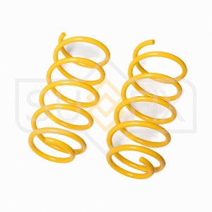 CHEVROLET AVEO (T200) (2003-2008) AVEO (T250) (200 1.2 OHC / 1.2 SOHC / 1.2 DOHC SZ-2985 SUFIX