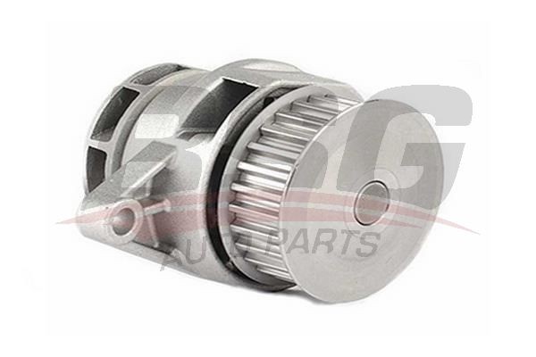 Насос водяной VW Golf (91-97) (1.4/1.6),Polo (94-99) (1.4/1.6) BSG BSG90500025 BSG