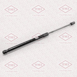 HYUNDAI SANTA FE (CM) (2005>) TAF1026 TATSUMI