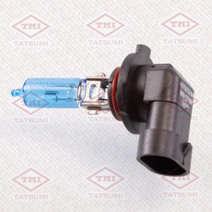 HB3 12V-60W P20D TFN1001B TATSUMI