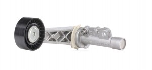 PEUGEOT 206/ 207/ 308/ CITROEN C4 APV2465 DAYCO
