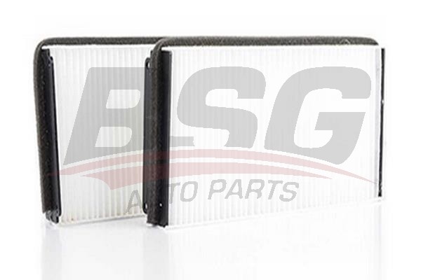 Фильтр воздушный салона MERCEDES E (W210),S (W220),CL (C215) (2шт.) BSG BSG 60-145-005 BSG