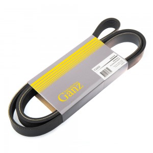 FORD TRANSIT (2006-2013) GIE37041 GANZ